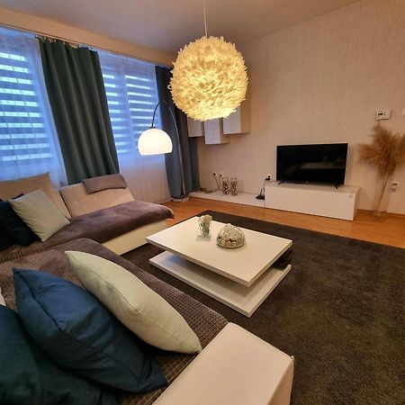 Apartment Banska - City Centre & Private Parking 班斯卡-比斯特里察 外观 照片