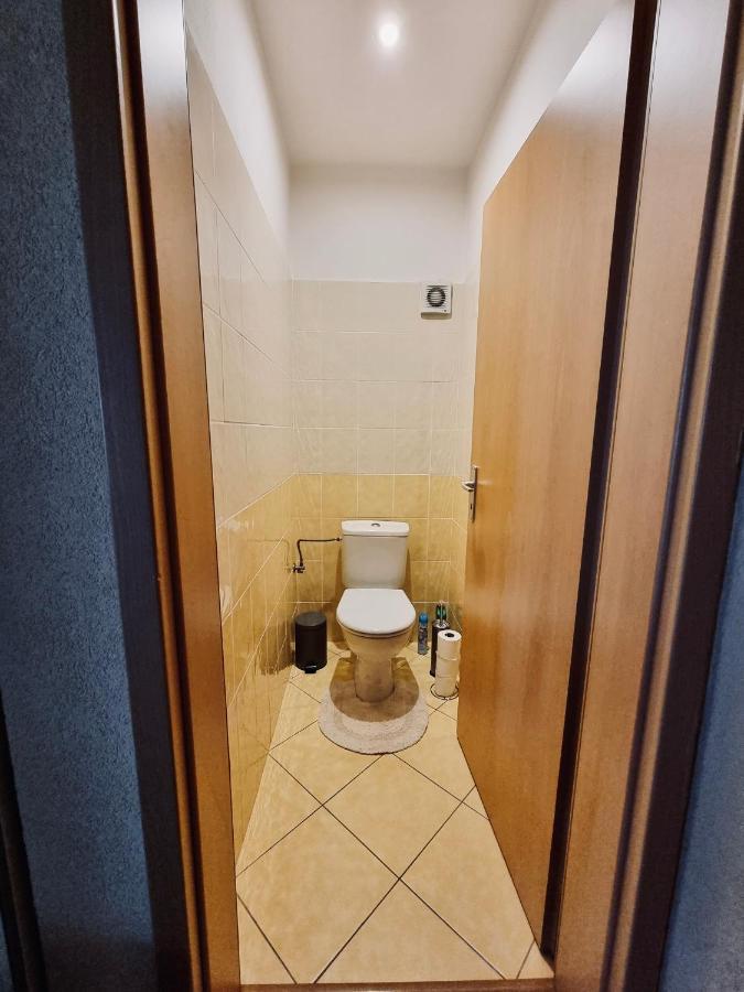 Apartment Banska - City Centre & Private Parking 班斯卡-比斯特里察 外观 照片